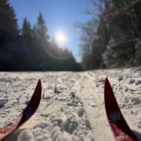 Apartman Hyronimus House