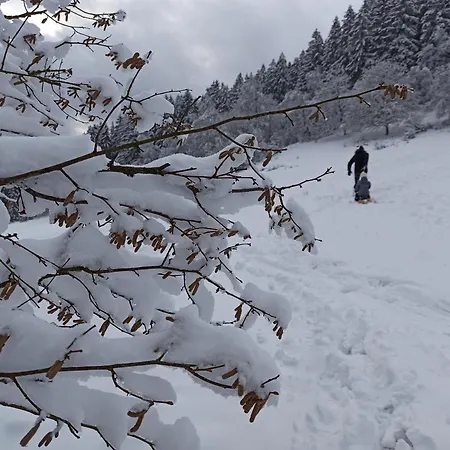 Apartment Hyronimus House *