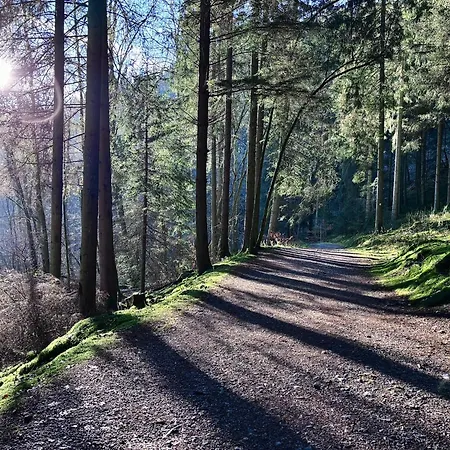 Hyronimus House Amblève