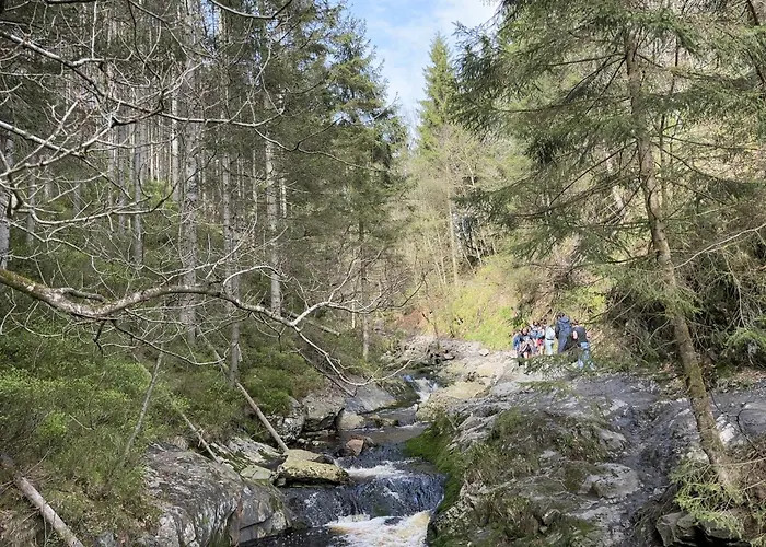 Hyronimus House * Ambleve