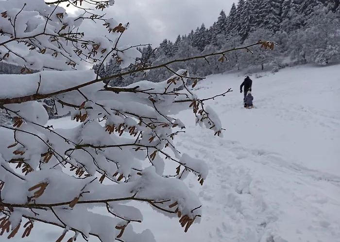 Apartment Hyronimus House *